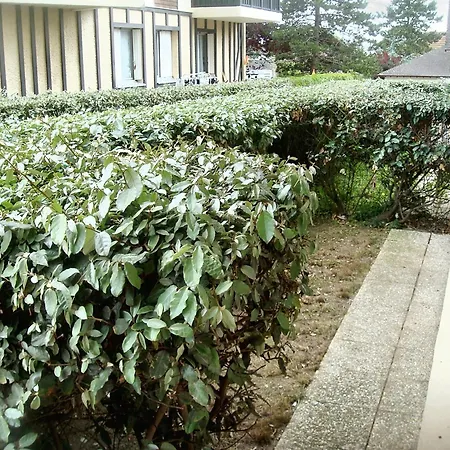 D'une A A 100 M De La Avec Piscine Partagee Et Jardin Amenage Appartement Cabourg
