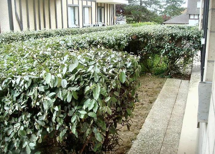 à Avec Piscine Partagée Appartamento Cabourg